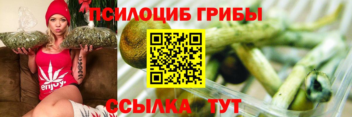 Галлюциногенные грибы мухоморы  купить  цена  Салехард  Вход с VPN 