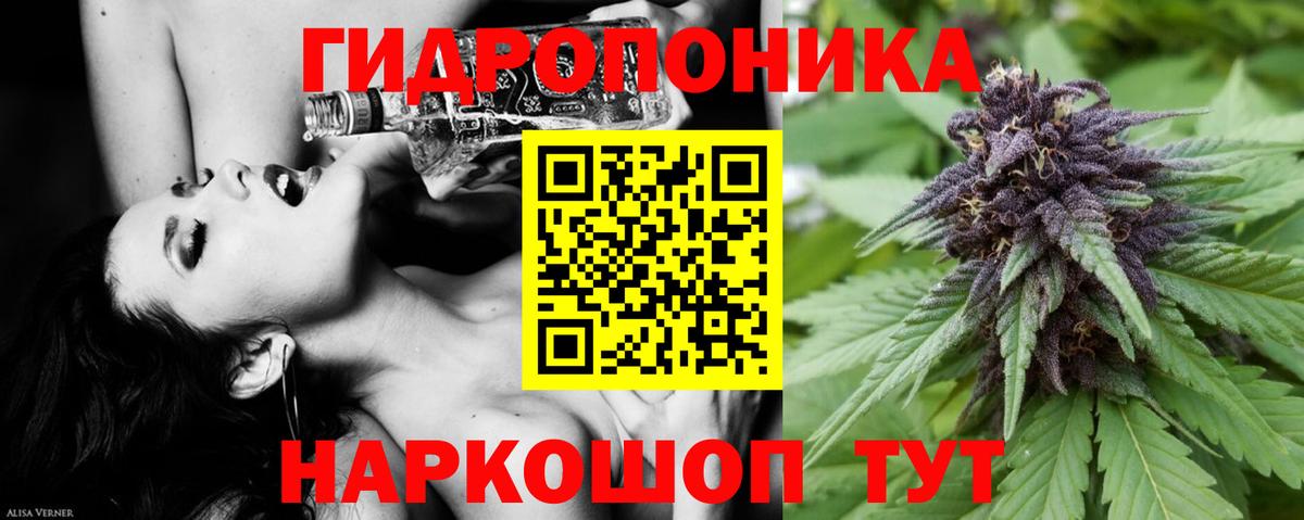 МАРИХУАНА OG Kush Салехард